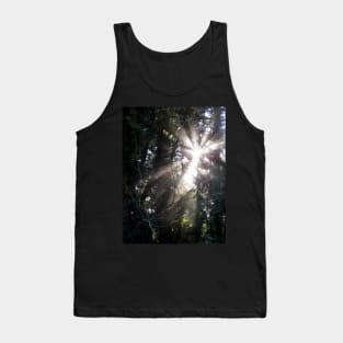 fall morning forest sun rays 3 Tank Top